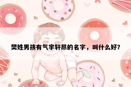 樊姓男孩有气宇轩昂的名字，叫什么好？