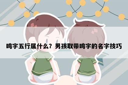 鸣字五行属什么？男孩取带鸣字的名字技巧