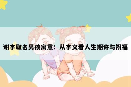 谢字取名男孩寓意：从字义看人生期许与祝福