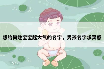 想给何姓宝宝起大气的名字，男孩名字求灵感