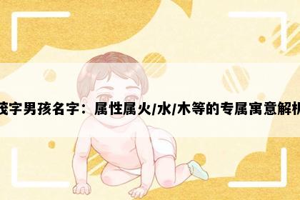 茂字男孩名字：属性属火/水/木等的专属寓意解析
