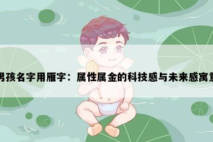 男孩名字用雁字：属性属金的科技感与未来感寓意