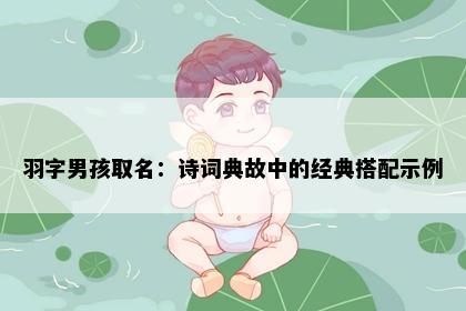 羽字男孩取名：诗词典故中的经典搭配示例