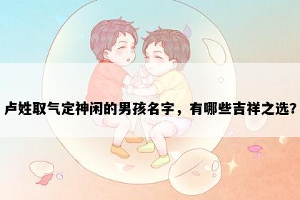 卢姓取气定神闲的男孩名字，有哪些吉祥之选？