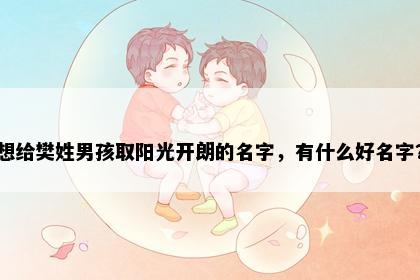 想给樊姓男孩取阳光开朗的名字，有什么好名字？