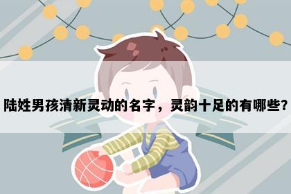 陆姓男孩清新灵动的名字，灵韵十足的有哪些？