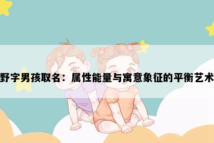 野字男孩取名：属性能量与寓意象征的平衡艺术