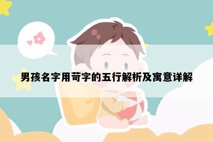 男孩名字用苛字的五行解析及寓意详解