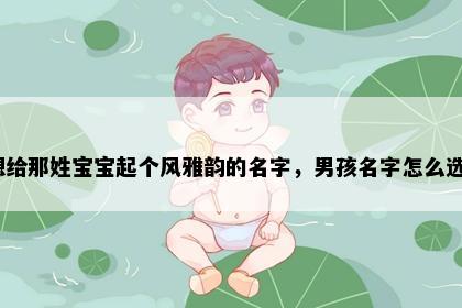 想给那姓宝宝起个风雅韵的名字，男孩名字怎么选？