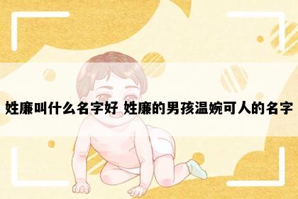 姓廉叫什么名字好 姓廉的男孩温婉可人的名字