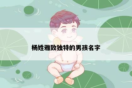杨姓雅致独特的男孩名字