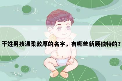 干姓男孩温柔敦厚的名字，有哪些新颖独特的？