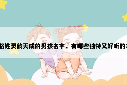 骆姓灵韵天成的男孩名字，有哪些独特又好听的？