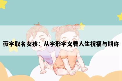 薇字取名女孩：从字形字义看人生祝福与期许
