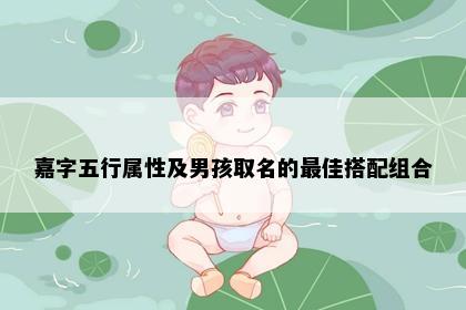 嘉字五行属性及男孩取名的最佳搭配组合