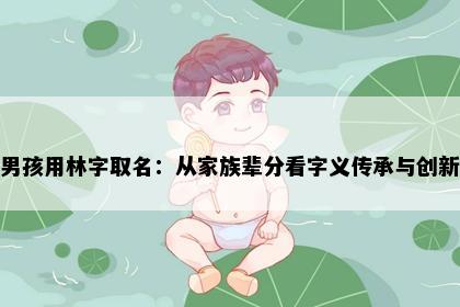 男孩用林字取名：从家族辈分看字义传承与创新