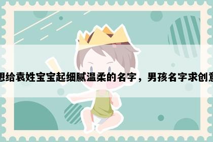 想给袁姓宝宝起细腻温柔的名字，男孩名字求创意