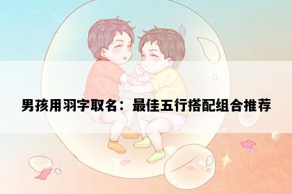 男孩用羽字取名：最佳五行搭配组合推荐